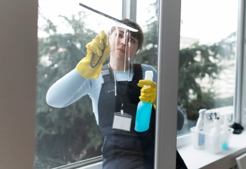 Nettoyage de vitres intérieures et extérieures à Camps-Saint-Mathurin-Léobazel